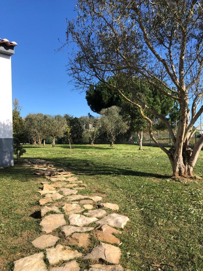 ボンバラルCasa Do Horizonteアパートメント エクステリア 写真